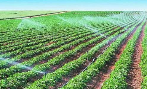 湿插国产在线农田高 效节水灌溉